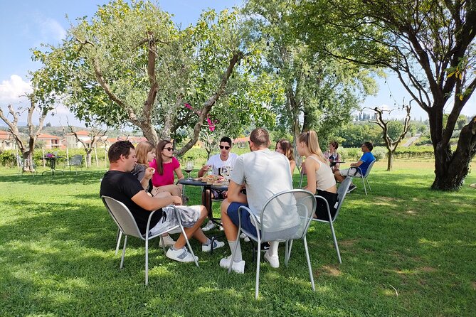 E-Bike Tour and wine tasting in Lazise Countryside - Two hours among Lazise’s vineyards