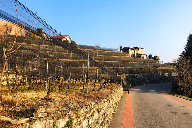 E-Bike Tour Lake Como and Swiss Vineyards - The return along Lake Como to Como