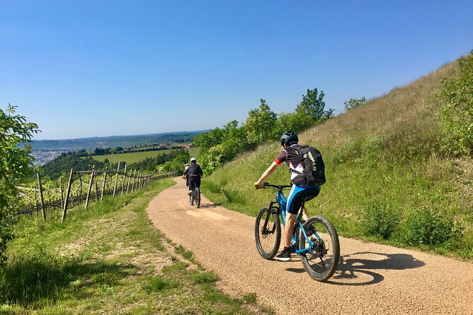 E-Bike Tour with Wine Tasting from Salò - Key points to know before you book