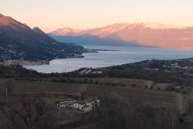 E-Bike Tour with Wine Tasting from Salò - Starting among the vines at Cantina Trevisani