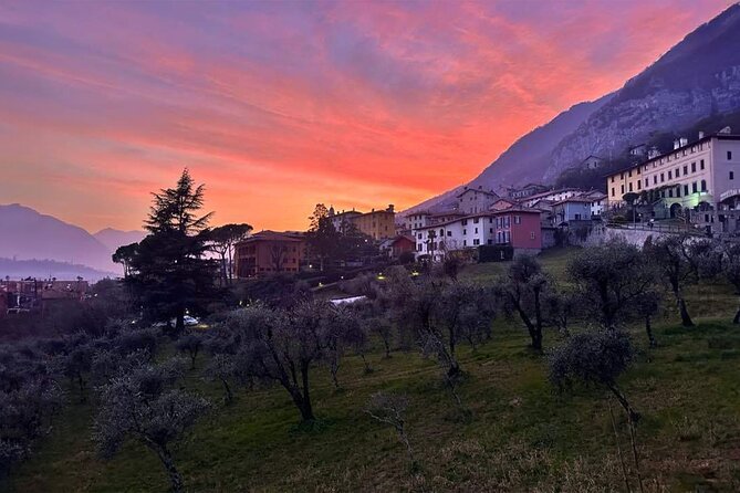 E.V.O. oil of Lake Como tasting+ food pairings - Walking through Alice’s olive grove