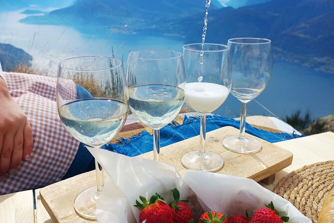 Exclusive Picnic in the Foothills of the Alps with the Lake Views - The view is the main event