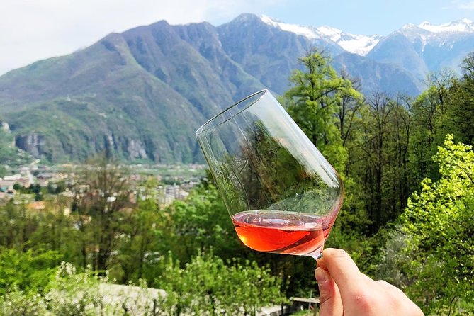 Family tasting - A little tasting - Key points at a glance