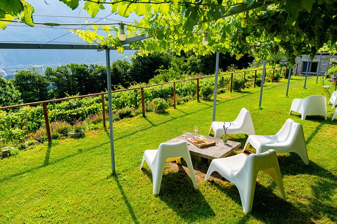 Family tasting - A little tasting - Is $22.11 a good value?