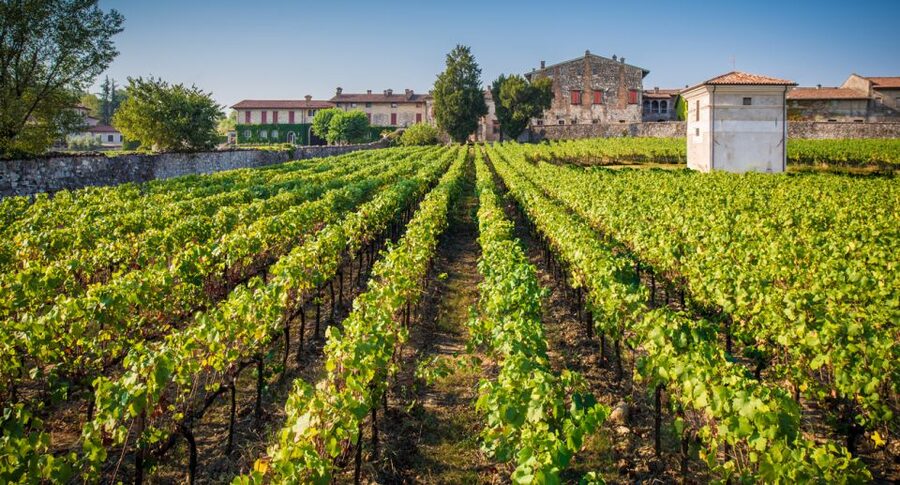 From Bergamo: Winery Tour in Franciacorta with Lunch - Leaving Bergamo in a luxury minivan