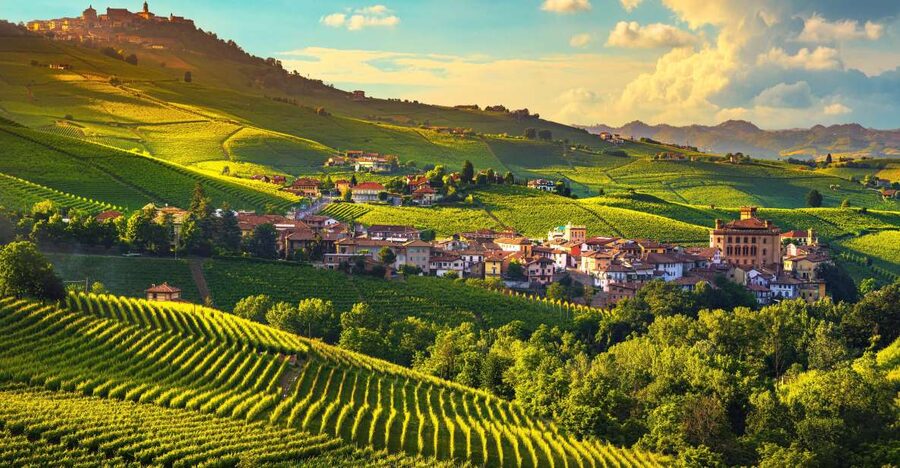 From Milan: Barolo Wine Tasting, Alba Tour and Castle Visit - Key points at a glance