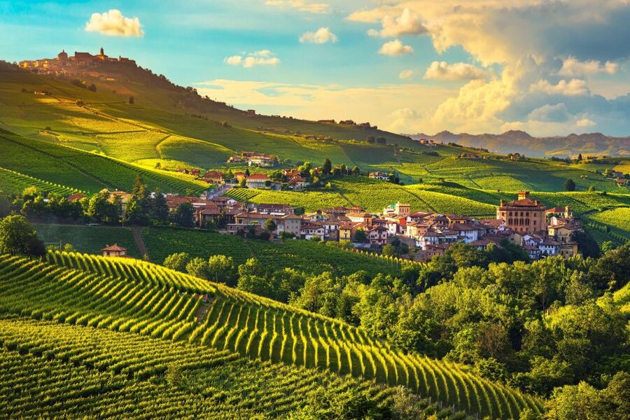 From Milan: Barolo Wine Tasting, Alba Tour and Castle Visit - Leaving Milan for the Langhe hills