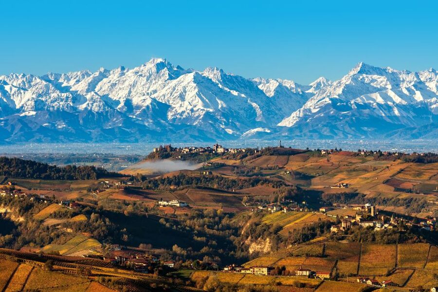 From Milan: Barolo Wine Tasting, Alba Tour and Castle Visit - Alba, Piedmont’s truffle and chocolate town