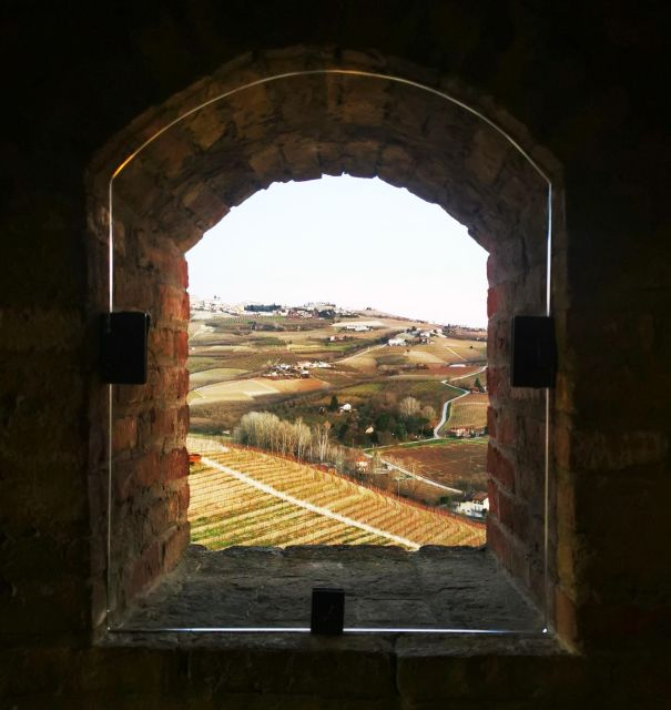From Milan: Barolo Wine Tasting, Alba Tour and Castle Visit - The guides make a real difference