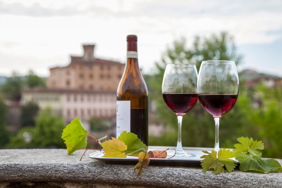 From Milan: Barolo Wine Tasting, Alba Tour and Castle Visit - Who should book this day trip?