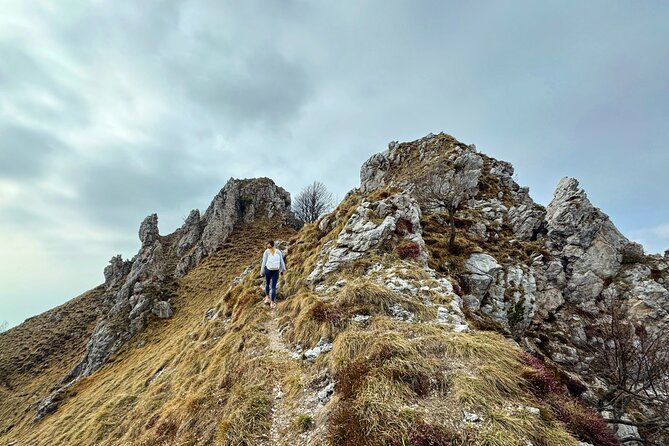 From Milan/Como/Varenna: Panoramic Hiking Tours near Lake Como - The $178.54 price: who gets good value?