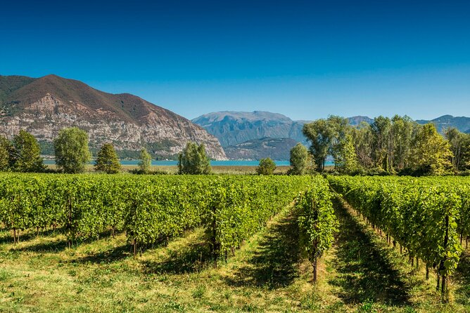 From Milan Full Day in Franciacorta 2 Wineries and Lunch - Why Franciacorta makes a good day trip from Milan