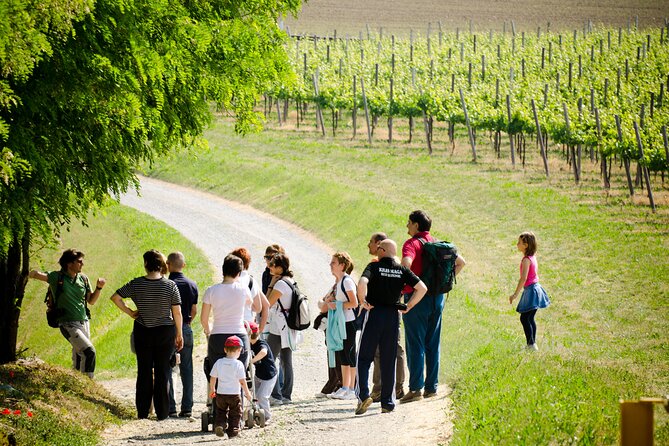 From Milan Full Day in Franciacorta 2 Wineries and Lunch - Who will enjoy this Franciacorta day