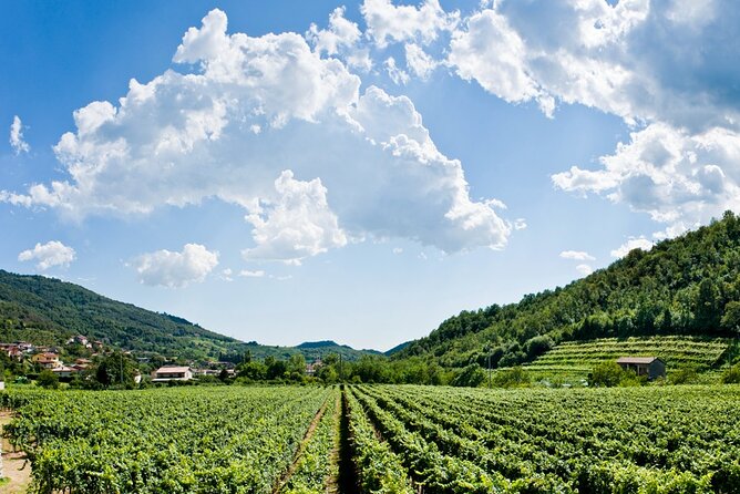 From Milan Full Day in Franciacorta 2 Wineries and Lunch - Lunch by Lake Iseo, with choices at the table