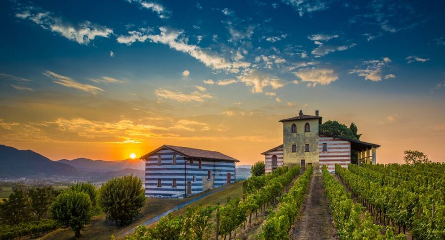 From Milan: Full Day in Franciacorta. 2 Wineries & Lunch - Lunch in Clusane beside Lake Iseo