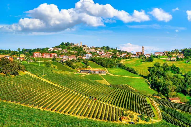 From Milan: Langhe Wine Region Day Trip with Barolo Tasting - Key points to know before booking