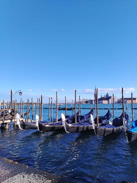 From Milan: Venice City Highlights Guided Day Trip - Crossing the Venetian Lagoon by boat