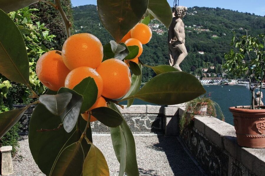 From Stresa: 2 Borromean Islands Hop-on Hop-off Boat Tour - Isola Madre: a calmer botanical outing