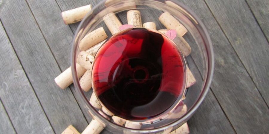 Full-Day Barbaresco Wine Tour with Truffle Hunting and Lunch - Key points to know before booking