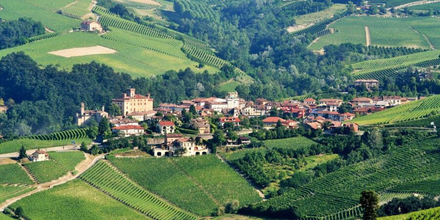 Full-Day Barbaresco Wine Tour with Truffle Hunting and Lunch - Who should book this Piedmont day trip?