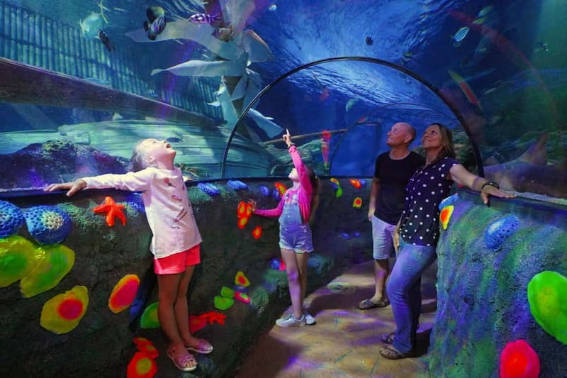 Gardaland SEA LIFE Aquarium: Open Date Entry Ticket - Key points to know