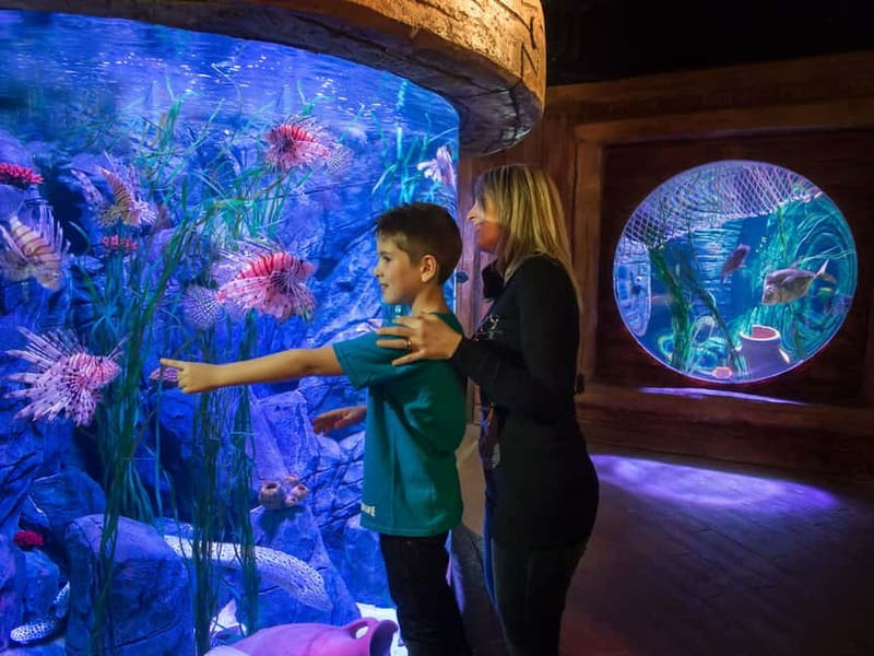 Gardaland SEA LIFE Aquarium: Open Date Entry Ticket - What the aquarium is like for children