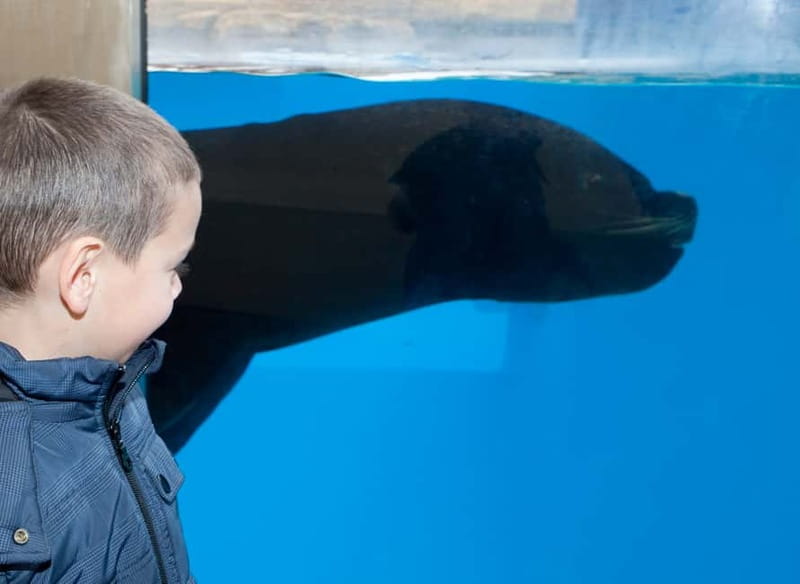 Gardaland SEA LIFE Aquarium: Open Date Entry Ticket - Entering the 40-tank route