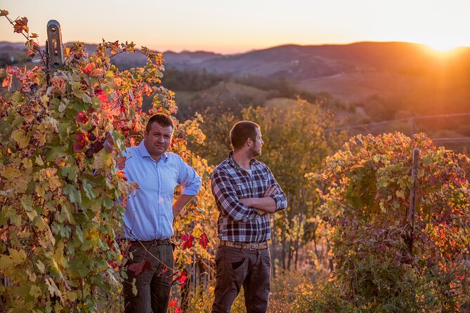 Guided tour of vineyards and winery with tasting 4 wines - Why This Calatroni Visit Feels More Personal