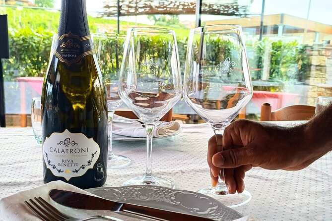 Guided tour of vineyards and winery with tasting 4 wines - The Food Question: Tasting Plate or Full Agriturismo Meal?