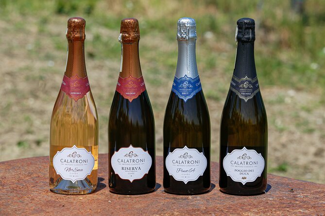 Guided tour of vineyards and winery with tasting 4 wines - Is Two Hours and 20 Minutes Enough?