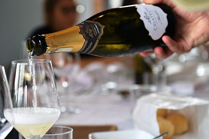 Guided tour of vineyards and winery with tasting 4 wines - What the $22.86 Price Really Buys