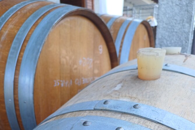 Guided tour of vineyards and winery with tasting 4 wines - Who Will Enjoy This Visit Most?