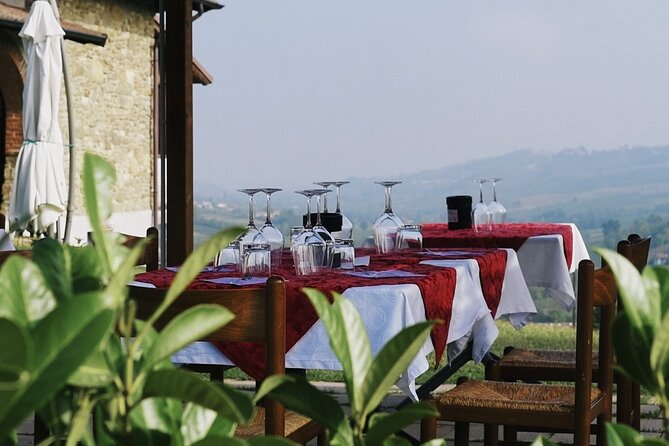 Guided tour of vineyards and winery with tasting 4 wines - Should You Book the Calatroni Wine Tour?
