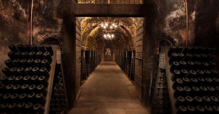 Half-Day Food and Wine Experience in Franciacorta - Why Franciacorta makes a good half-day outing