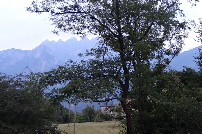 Hike & Beer: beer tasting & breathtaking views at sunset - Timing, transport, and practical preparation