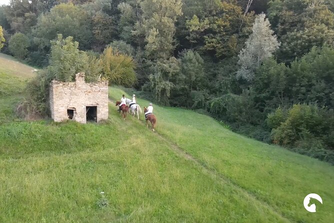 Horseback riding for experts between the lake and the mountains - The second riding section toward Lake Como and Annone