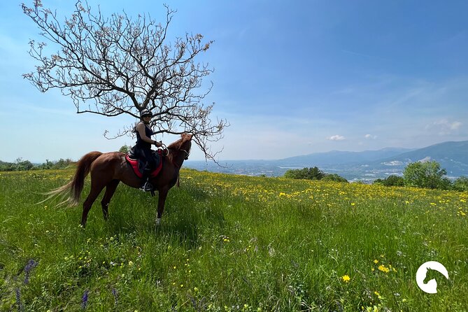 Horseback riding for experts between the lake and the mountains - Who should book this horseback ride