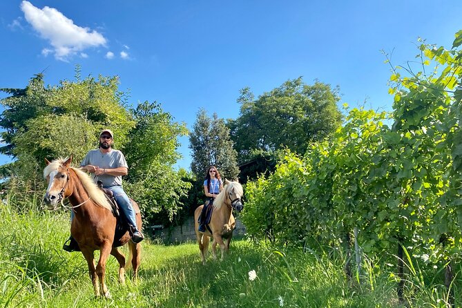 Horseback Riding with Wine and Food Tasting in Lazise Countryside - Key points to know before booking