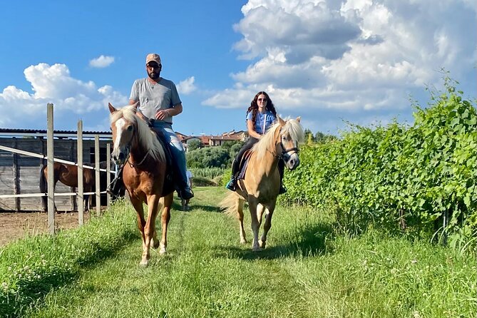 Horseback Riding with Wine and Food Tasting in Lazise Countryside - Colà and the vineyards of Bardolino country