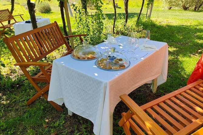 Horseback Riding with Wine and Food Tasting in Lazise Countryside - The return ride and the value of a small group
