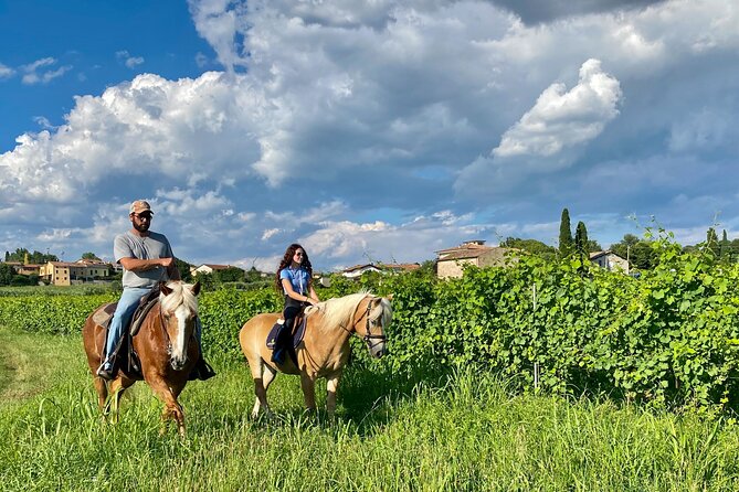 Horseback Riding with Wine and Food Tasting in Lazise Countryside - Is $150.34 a fair price?