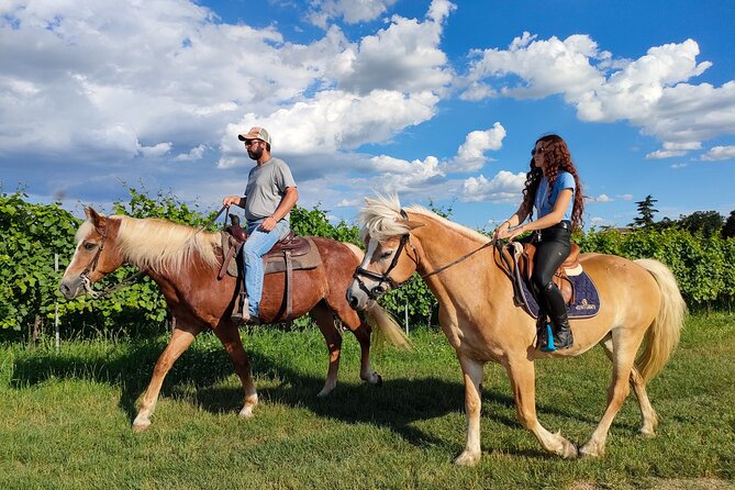 Horseback Riding with Wine and Food Tasting in Lazise Countryside - Getting there and preparing for the morning