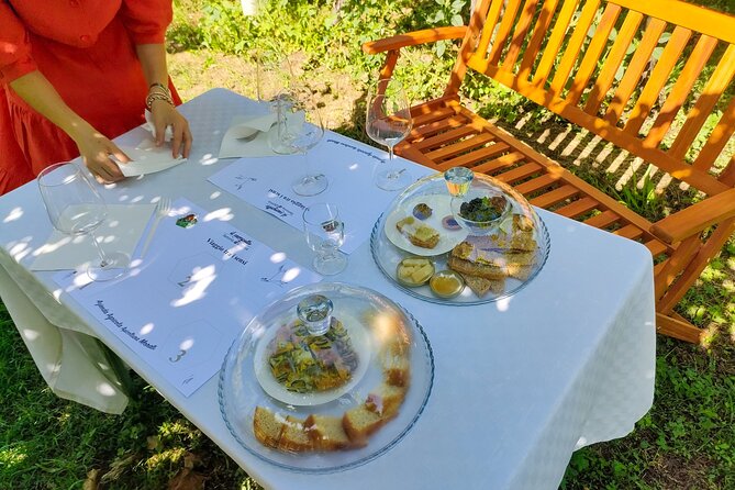 Horseback Riding with Wine and Food Tasting in Lazise Countryside - Should you book the horseback ride and tasting?
