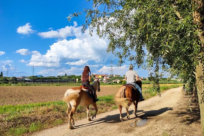 Horseback Riding with Wine and Food Tasting in Lazise Countryside - Apicoltura Morati and a tasting beneath the vines