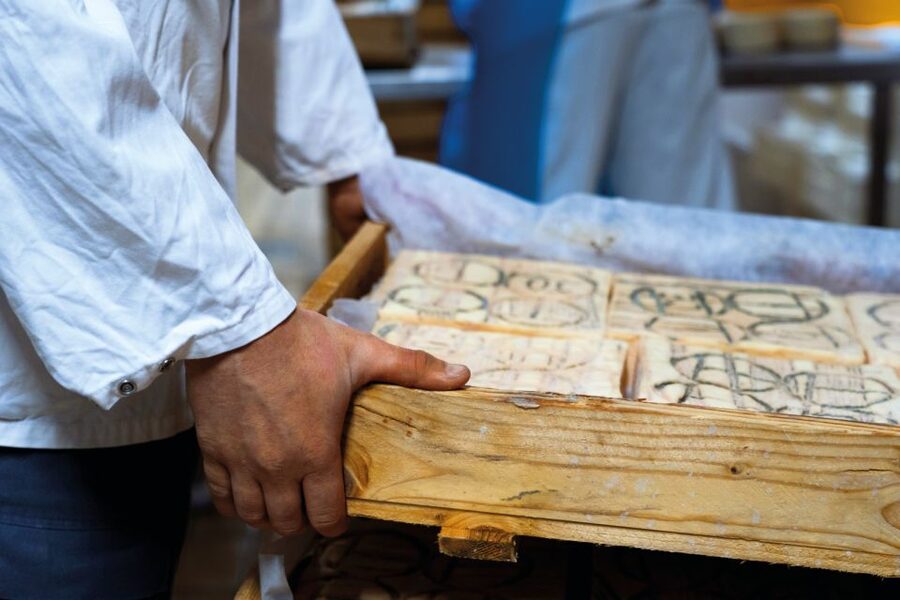 Lake Como: Cheese Factory Tour and Tasting in Valsassina - Who should book this experience