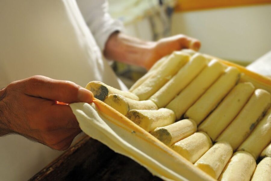 Lake Como: Cheese Factory Tour and Tasting in Valsassina - The 40-minute dairy tour