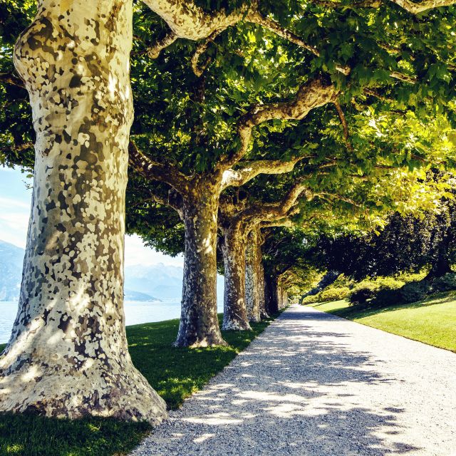 Lake Como: Lakeside Villas Entry Tickets with Ferries - Ferry travel is part of the experience