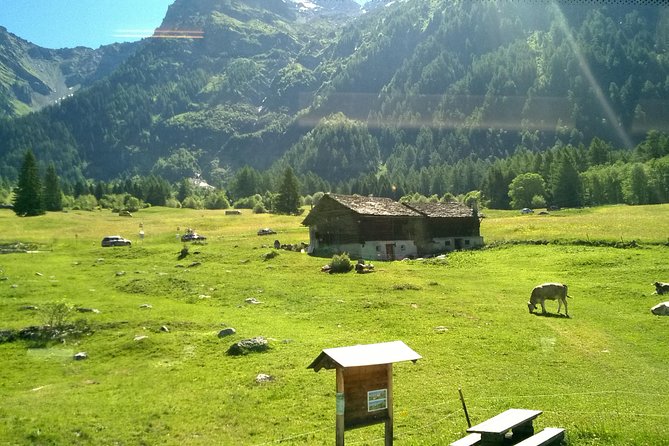 Lake Como, Swiss Alps and Bernina Train From Milan - Guides, drivers, and group rhythm