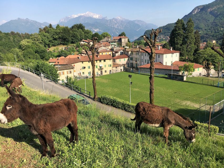 Lake Como to Lake Lugano: E-Bike Three Panoramic Lakes - Entering the Val Sanagra valley
