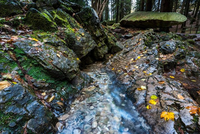 Lake Como trekking private guided tour, from Milan - Price and value for a group of three